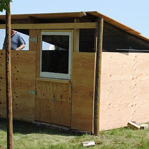 Besides the painting job that needs to be done, the coop is finished. The run just needs to be enclosed and covered with a light "wildlife" netting and the girls are free to roam.