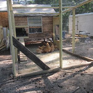 End view of the chicken yard.