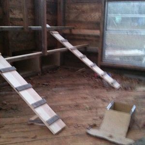 Inside of coop with roosting poles.