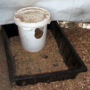 5 gallon bucket w/ screw on lid cut for feed bucket