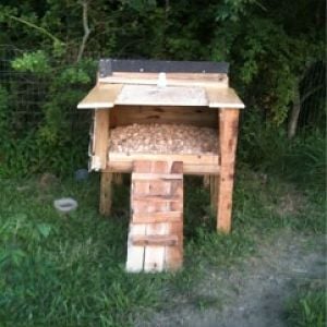 The new duck house!