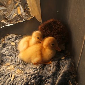April and Milky.