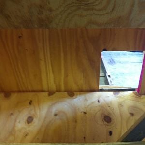 inside of the coop