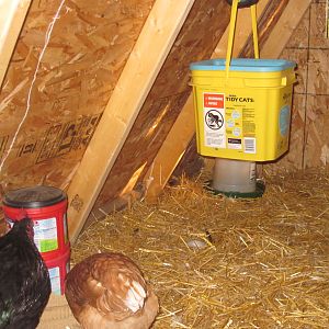 Hanging waterer with 4 push in nipples on bottom.  The bucket holds about 3 1/2 gallons.  This stays in the coop but I still keep a 1 gallon and a 1 quart out in their pen during the day.