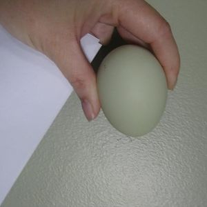 look, the egg matches the wall.