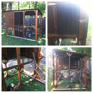 dad built our chicken coop!