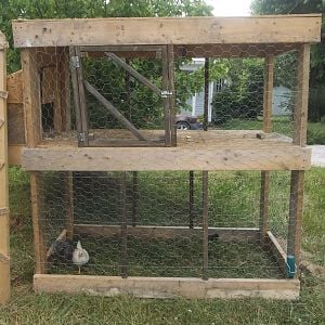 My coop without the ramp in it, its alot bigger then it looks, well my husband can fit in it LOL