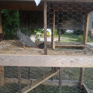 coop with the ramp