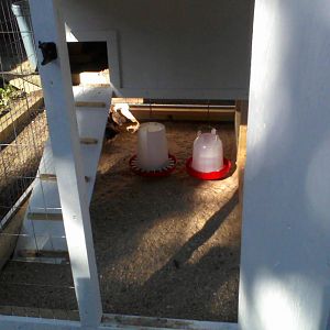 Inside with waterer and feeder. They dont go in the coop at all. I have to chase them in every night/