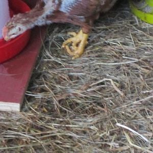 Looks bad don't know what happened.