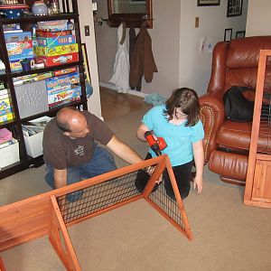Building the coop