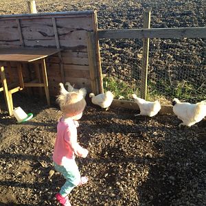 Amy keeping Frankie and the girls on their toes
