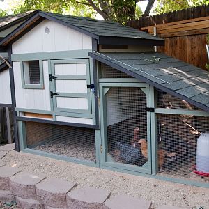 The the chicken house