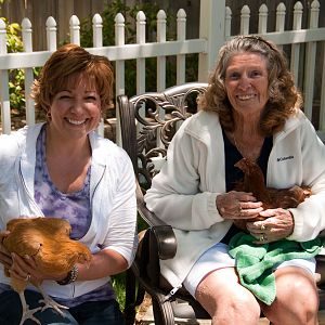 Me and my beautiful Gramma Lily.  I am holding Deloris the buff orp and she is holding Lily the RIR