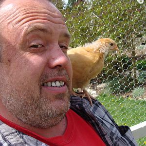 They still love to perch on papa.