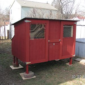 my coop i built in 1 day!