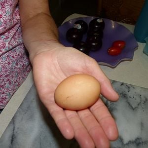 Our first egg!