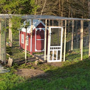 Our coop and enclosure.