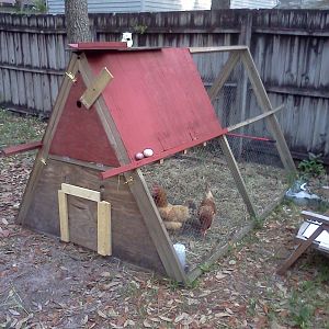 Here is our old coop, donated, along with our three feathered friends. It was fine for the birds, but my back couldn't take the stooping and crawling in and out to clean it, so we decided to look for a better solution and found it at BYC!