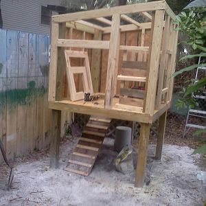 .Raising the structure 36" off the ground provides a dry hang out for the birds when the weather is wet and a place to hang the feed buckets that wont ruin the mash.