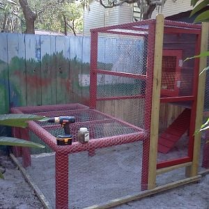 Heres the enclosed coop run, with the trap door in place. Lots of room in the low area for the birds to do their thing and a area tall enough for us to get in and do the cleaning and feeding.