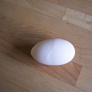 thin, white, cracked egg