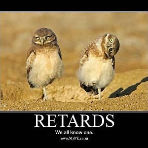 The one on the left if my DH. He gets that look on his face often. Especially when I bring up the subject of poultry.