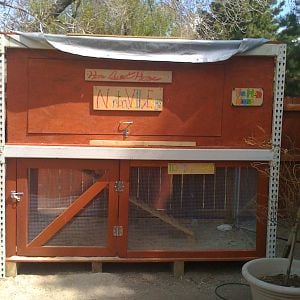 The two-story hen house