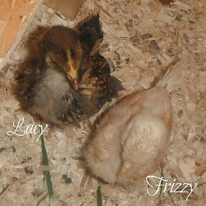 hmmm..wonder what they're discussing..???