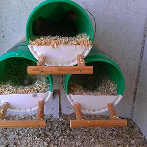 DIY Nesting Boxes
