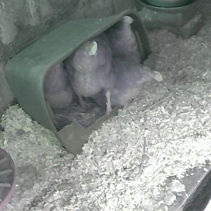 4 in the box.jpg