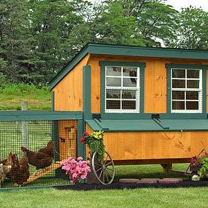 Buy this portable hen house from the Amish in Lancaster, PA. This 4'x6' hen house comes with two windows, a roosting bar, six nesting boxes and all the standard features of Sheds Unlimited chicken coops. Buy this portable chicken coop online at www.shedsunlimited.net/store or call 717-442-3281 for to learn more.