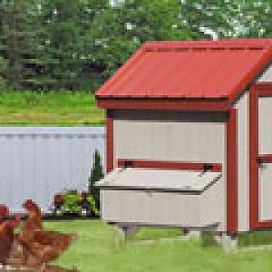 The A-Frame prefab chicken coop is another beauty from Sheds Unlimited in Lancaster, PA.