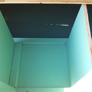 The nesting boxes painted. I still need to put a kick board in so the birds won't kick out all of the hay.