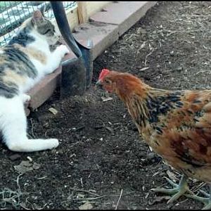 Zeus and CeeCee