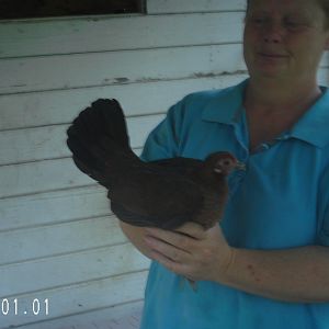 Chickadee and my sister