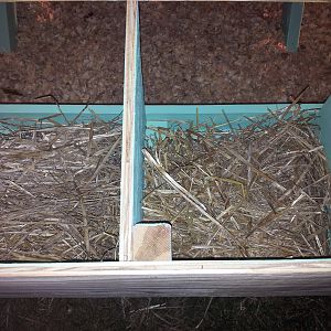 Nesting boxes ready, check!