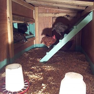 Girls in their new digs.