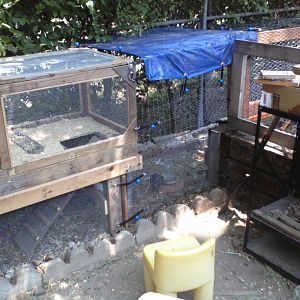 We utilized the space between our garden and side fence in the backyard for the run.