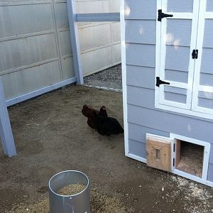 Pop door