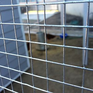 Welded Wire