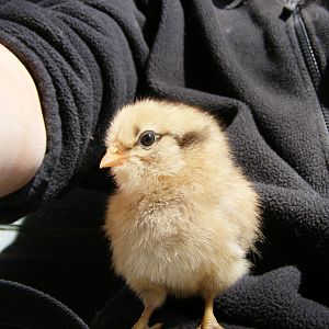 "I'm ready for my closeup!"