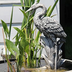 Frong of the house where Heron sptting water.