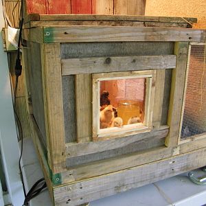 Brooder without the lid and stand.