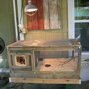 Chicken brooder with stand.