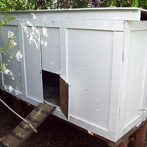 The finished coop