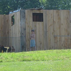 chicken coop, still hvae to do the trim and roof