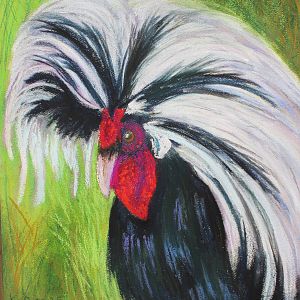 Fabulous Fabio- Polish Cock