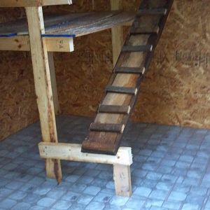 The hen hotel