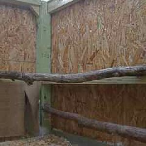 Henhouse Interior
